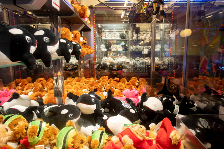 Knuffels in grijpmachine PP