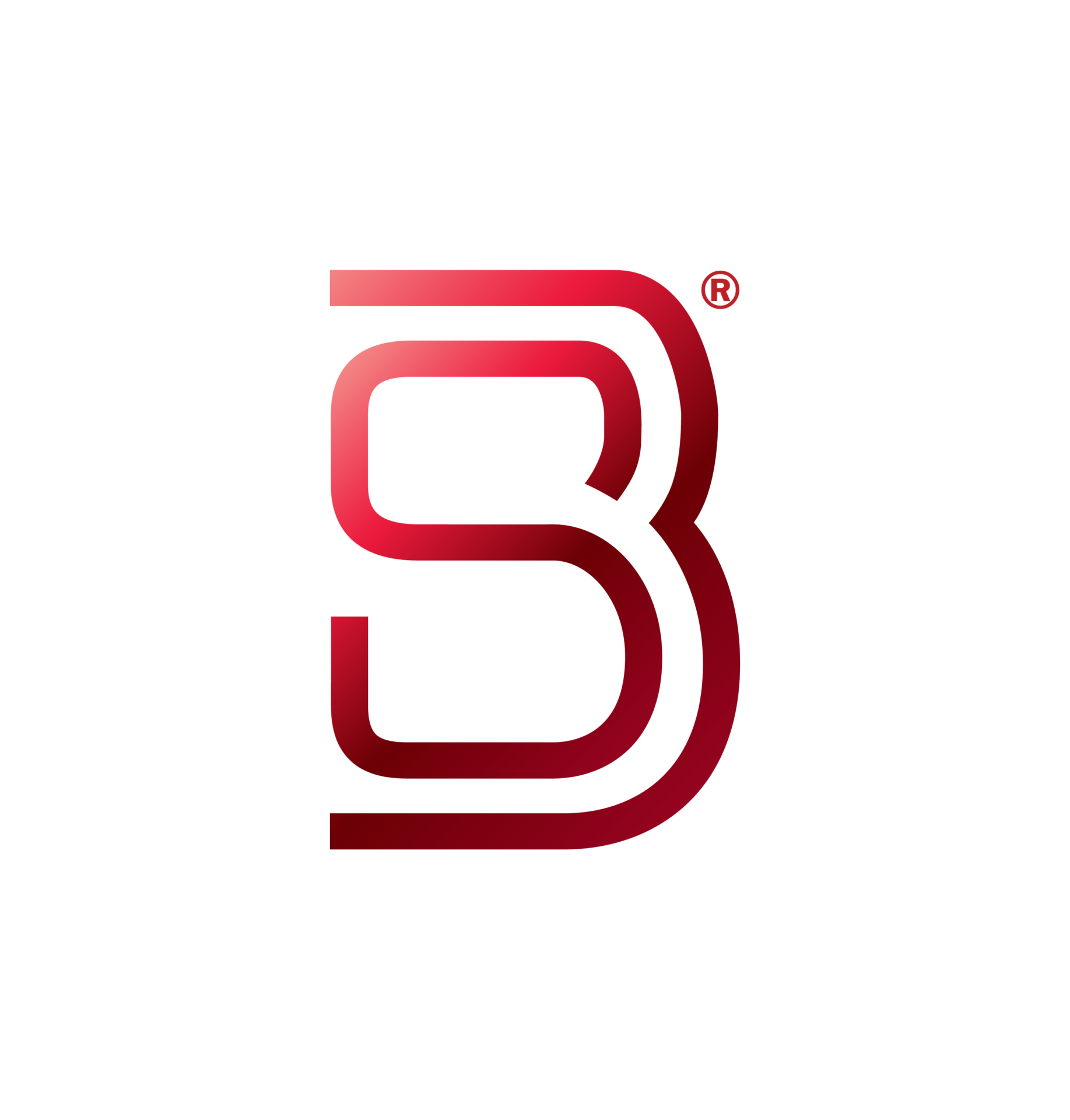 Bleckmann logo