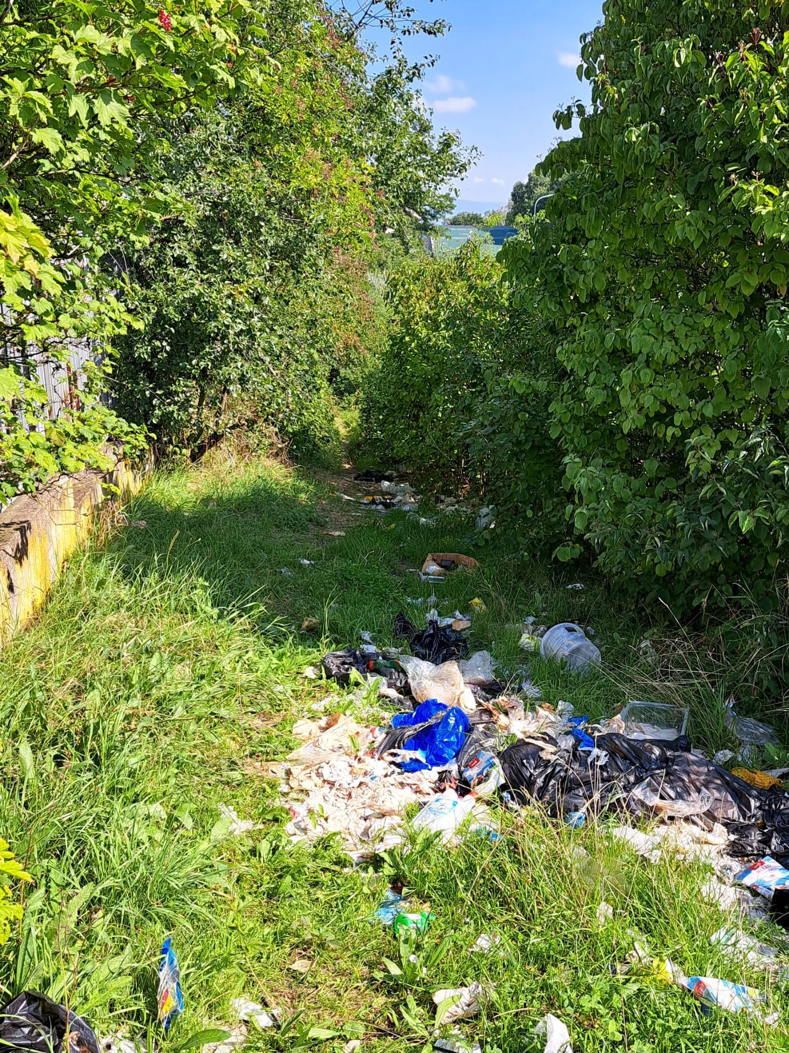 Víte, kdo je papírkář?