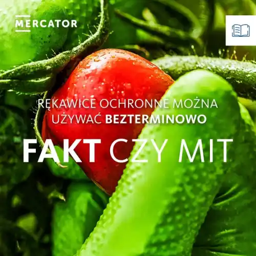 🤔 Rękawice ochronne wystarczą na zawsze? - fakty & mity