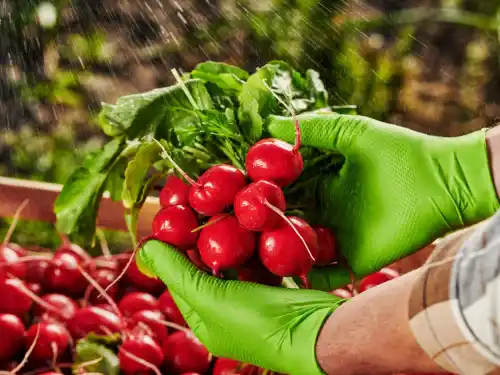 Rękawice MERCATOR gogrip: idealne dla rolnictwa, warsztatów i gastronomii 🪴