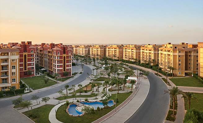 Degla palms gallery