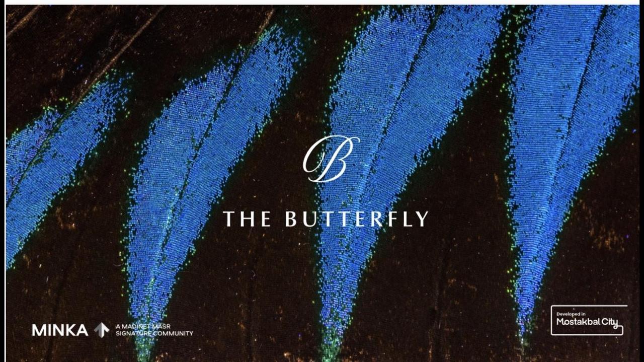 The Butterfly (1 of 7)