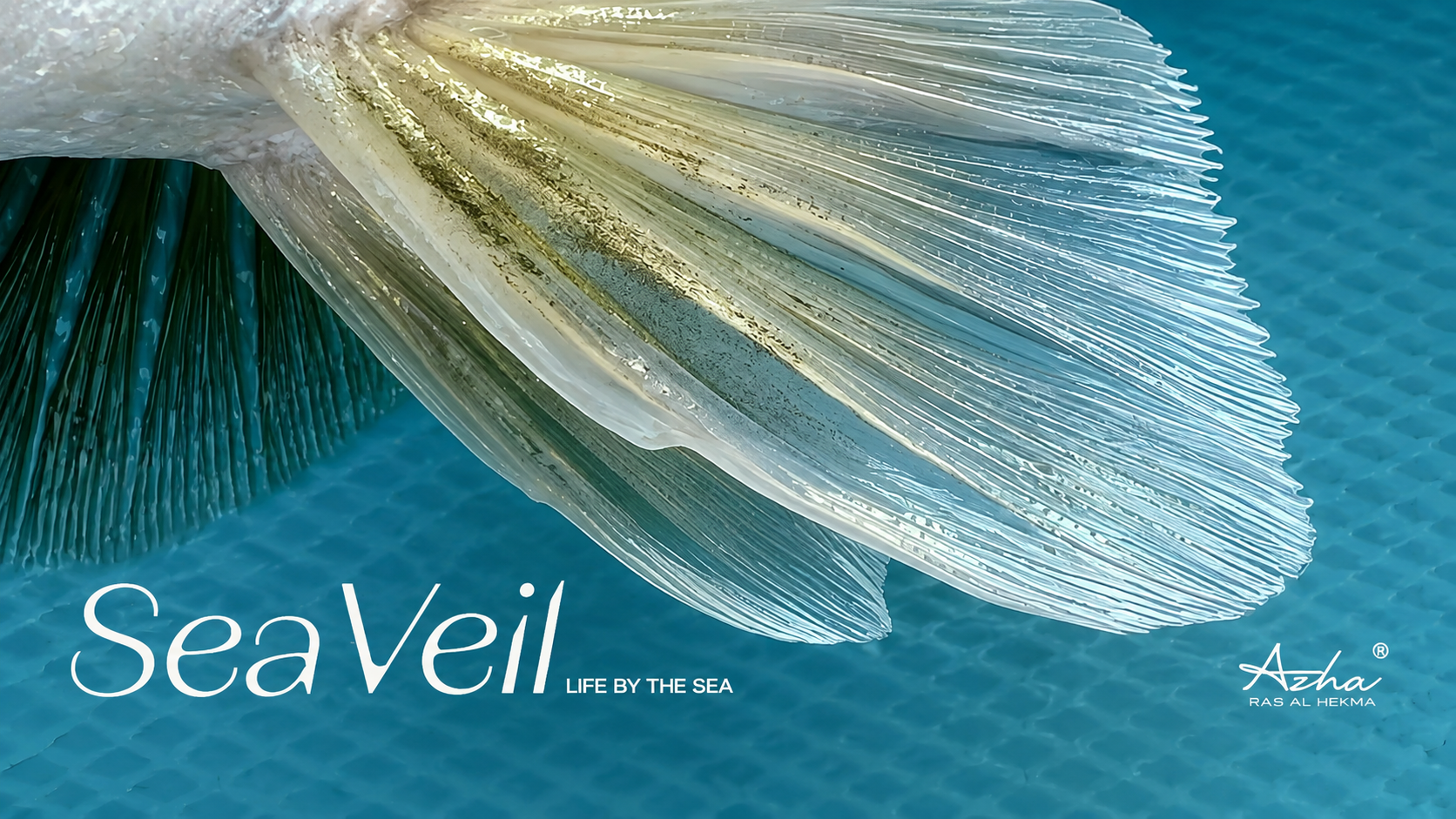 Sea Veil gallery