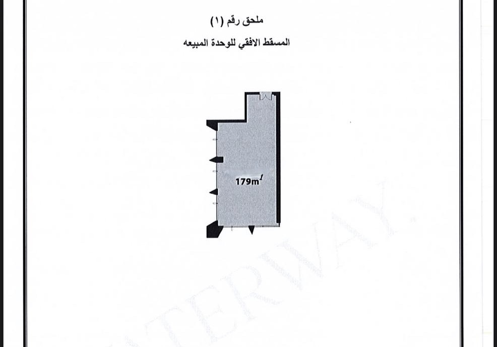 WhatsApp-Image-2025-11-11-at-12.58.44-PM_Bassem-Elmasri---Copy.jpeg
