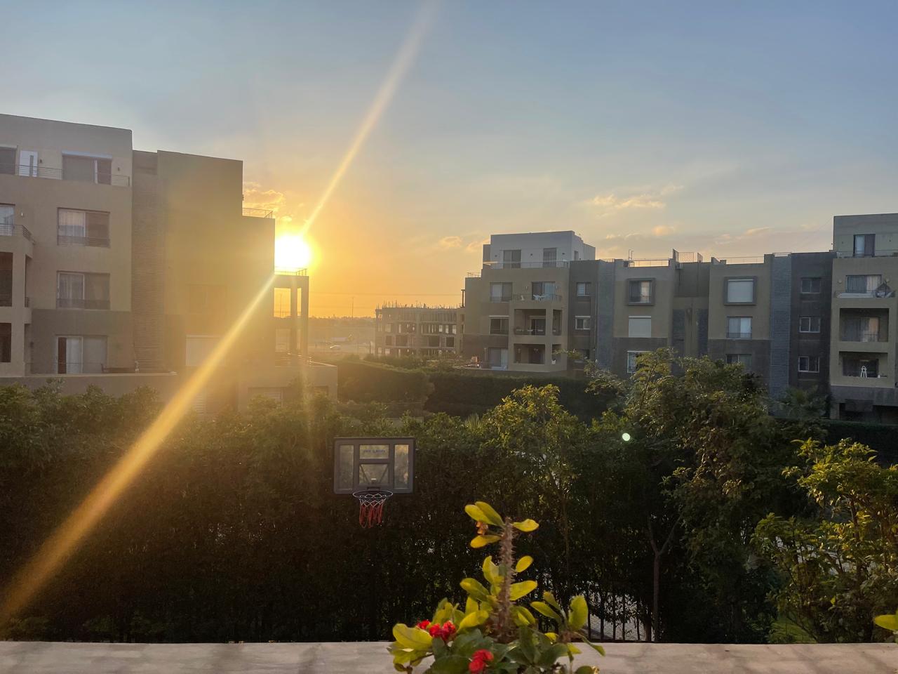 apartment at Palm Parks