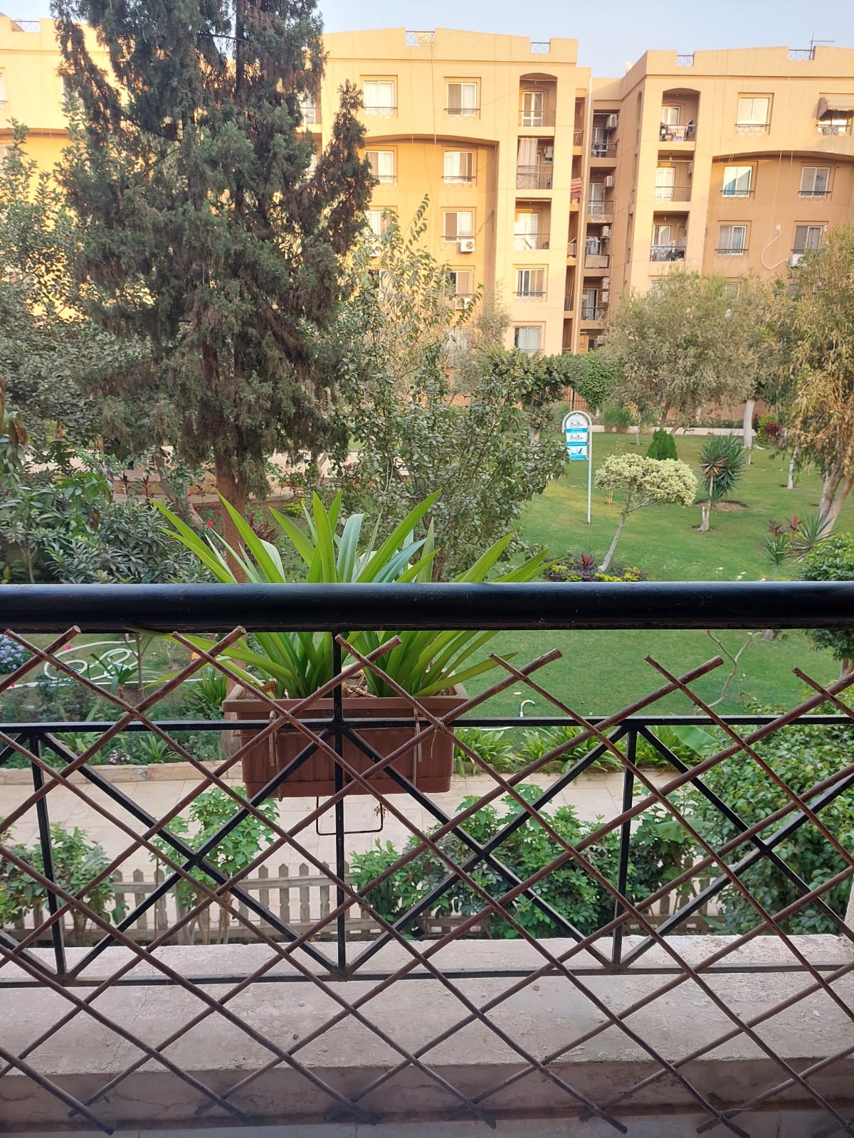 apartment at El Rehab