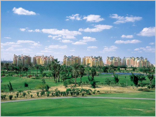 apartment at Dream Land