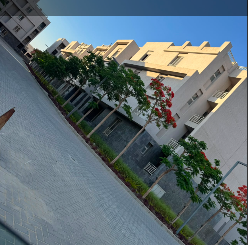 apartment at W signature