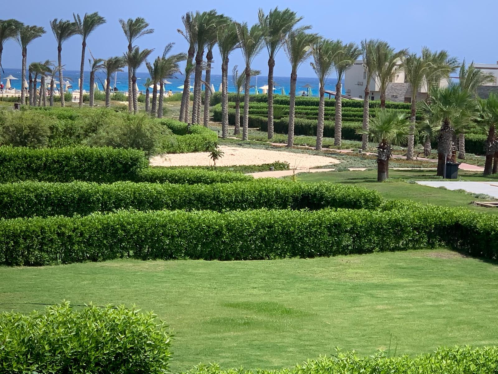  at Amwaj