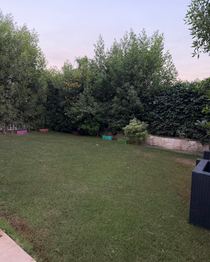 Twinhouse, El Patio 6 October, photo 3 of 13