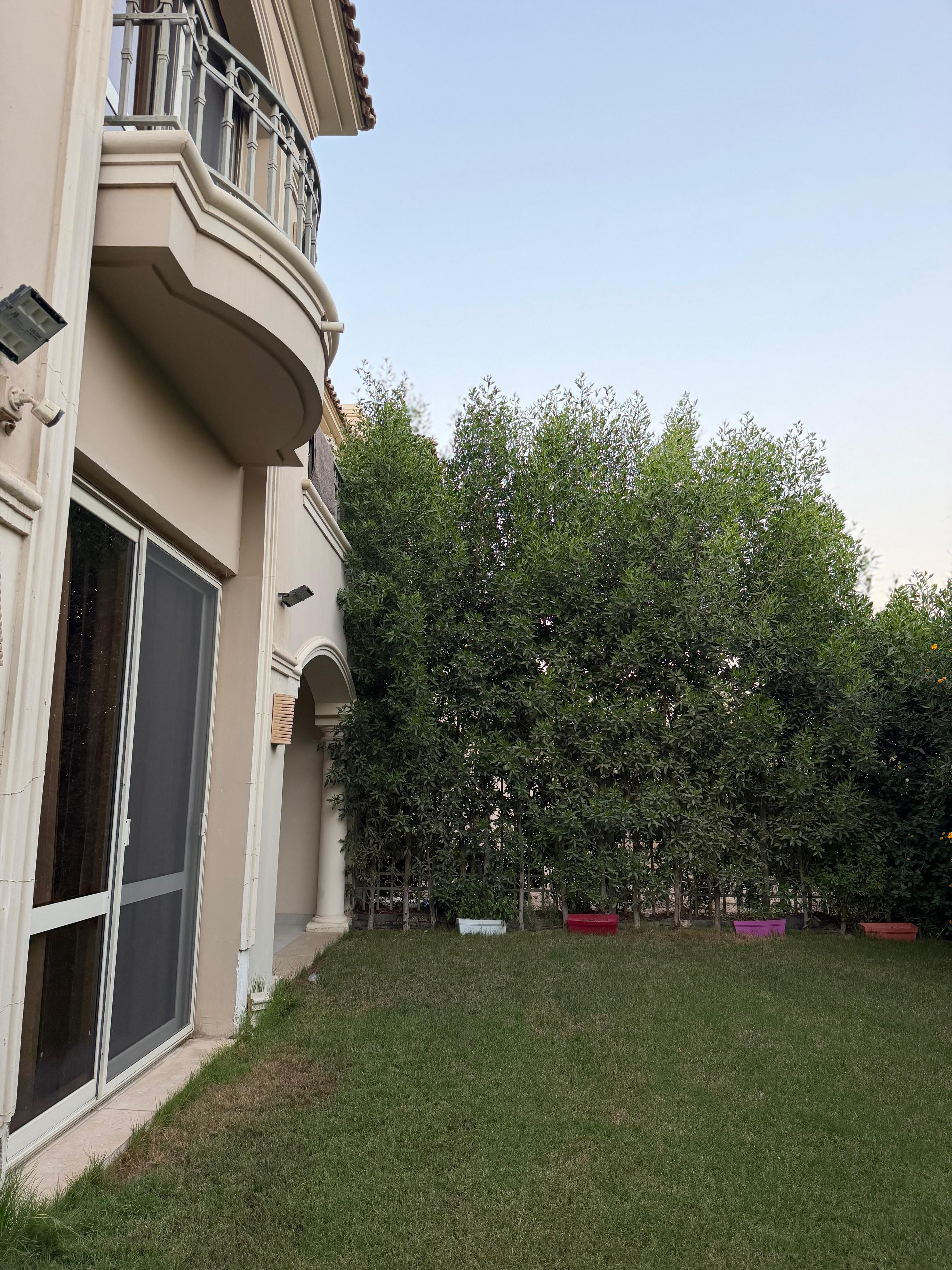 Twinhouse, El Patio 6 October, photo 7 of 13