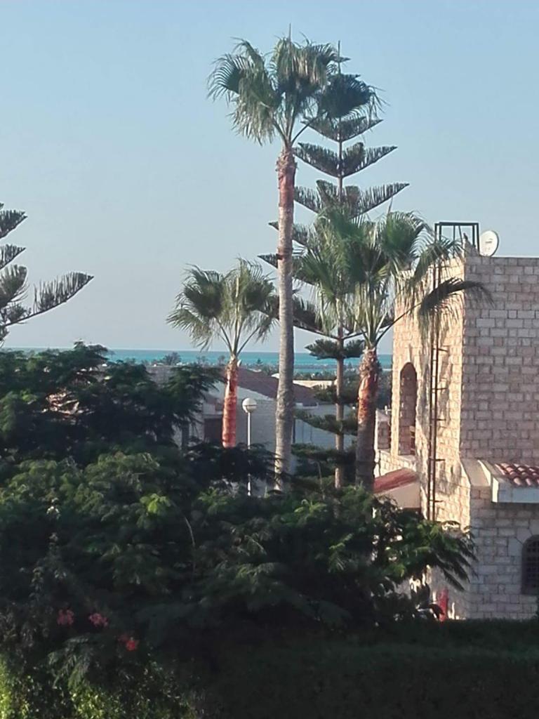 شاليه في مارينا ٤، صورة ٢ من ١١