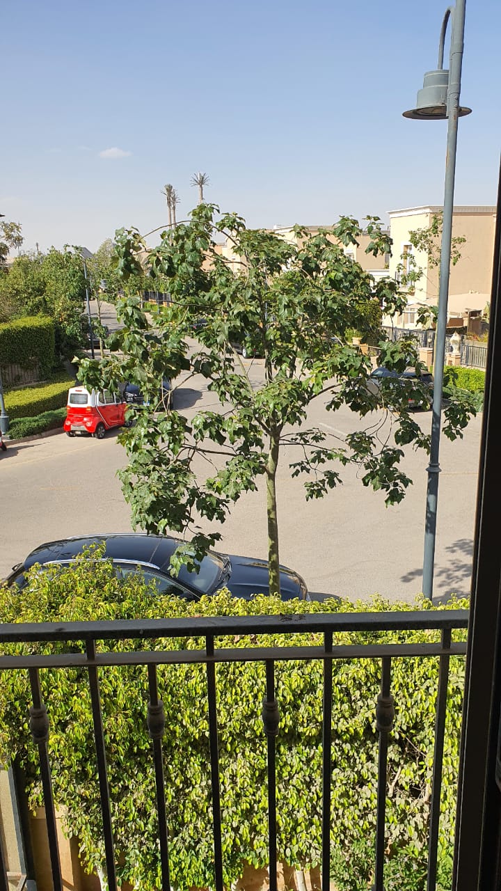 فيلا في ميفيدا، صورة ٣ من ١٤