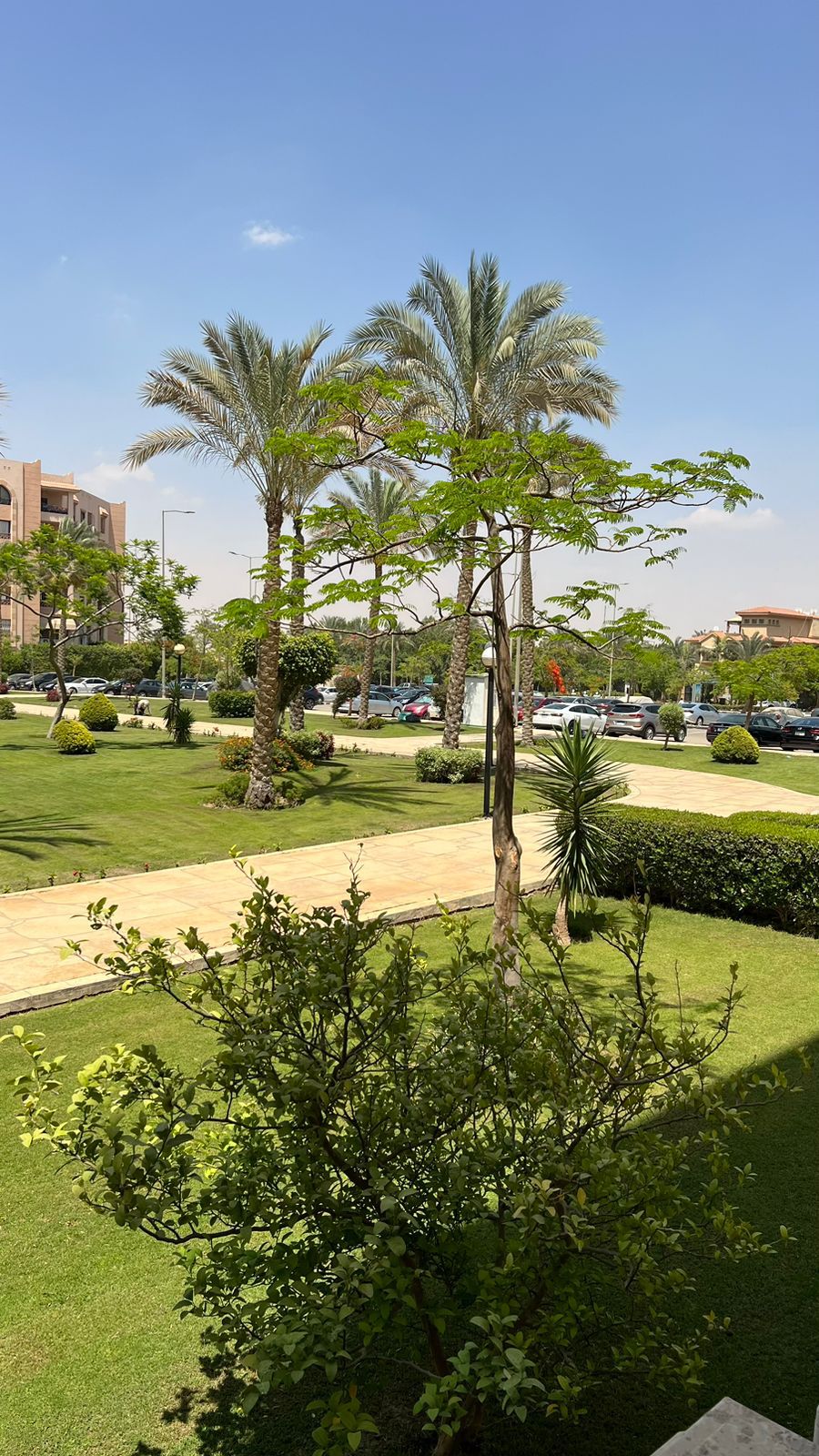 شقة في El Rehab ، صورة ٩ من ١٧