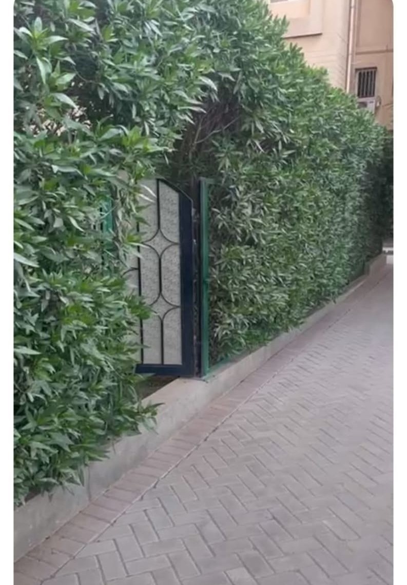 شقة في اشجار سيتي، صورة ٢ من ٤