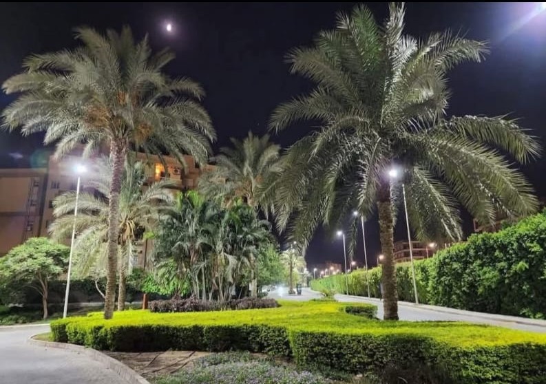شقة في اشجار سيتي، صورة ٣ من ٤