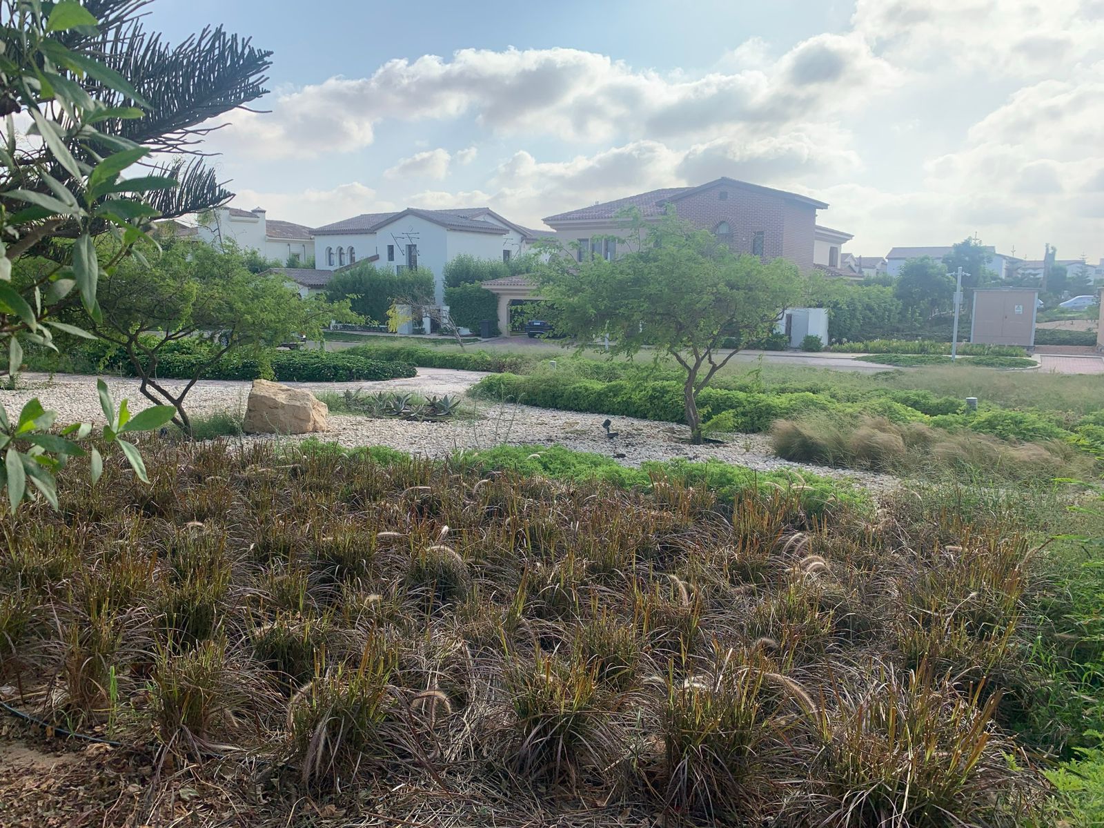  at Marassi
