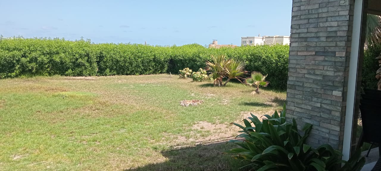 فيلا في ⁨أمواج⁩، صورة ٦ من ١١