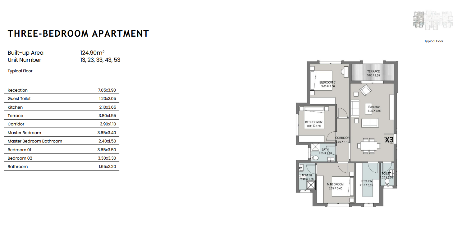 Floor plan for apartment at ELM Tree - Sarai