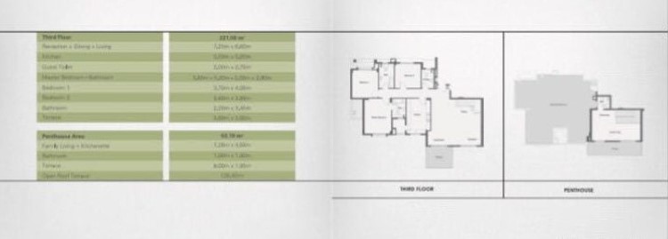 Floor plan for penthouse at Palm Parks
