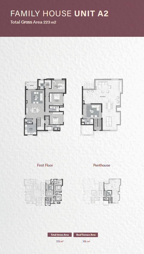 Floor plan for penthouse at Rosewood