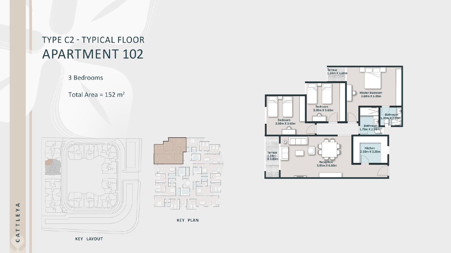 Floor plan for apartment at Cattleya