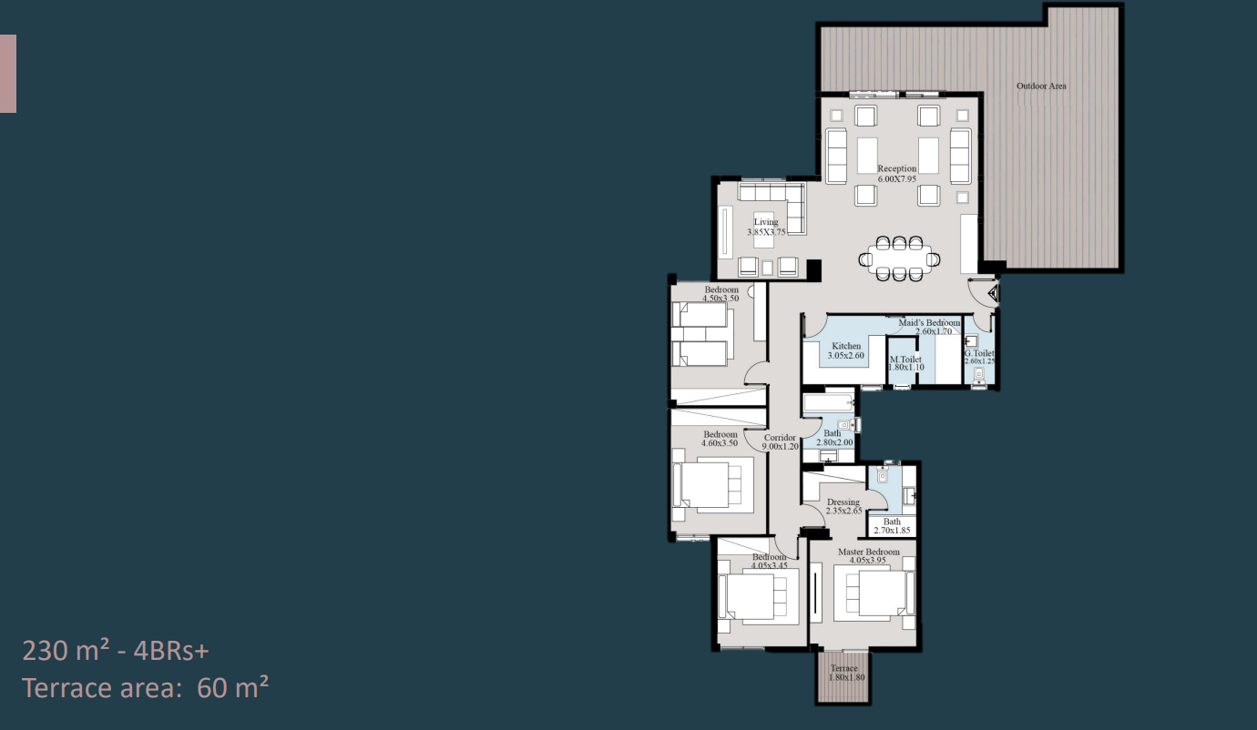 Floor plan for penthouse at Acasa Mia