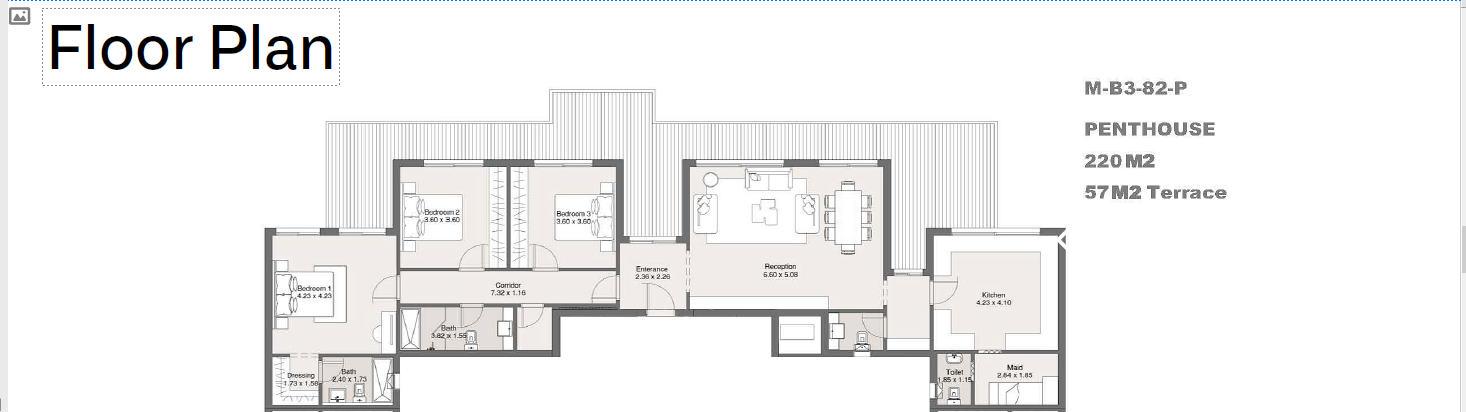 Floor plan for penthouse at Maliv