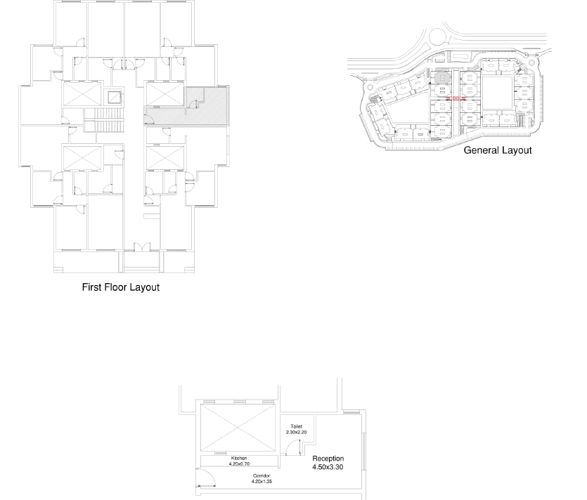 Floor plan for studio at Begonia Residence