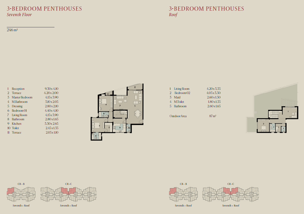 Floor plan for penthouse at The Brooks