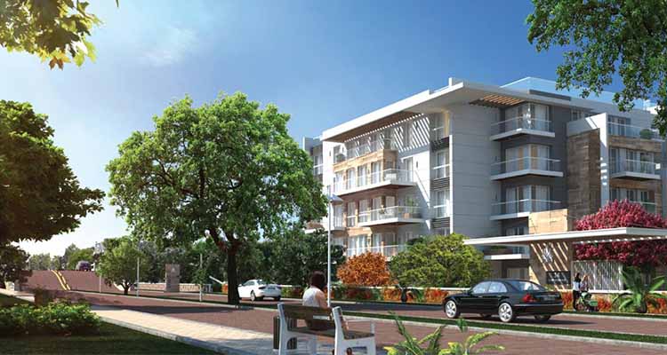 duplex at Mountain View iCity October