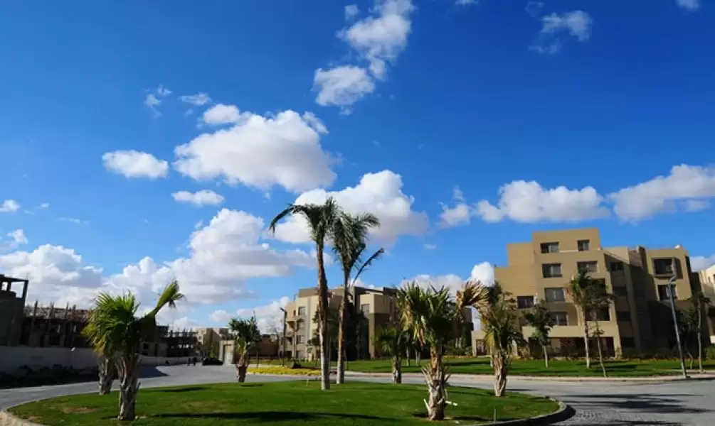 apartment at Palm Parks