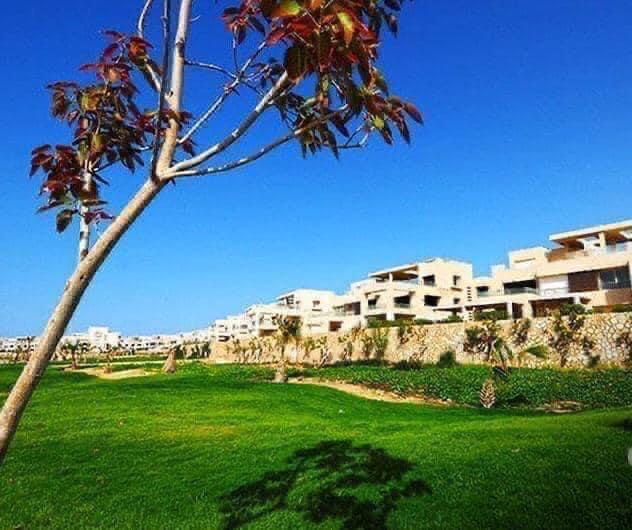 chalet at Hacienda Bay