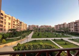 apartment at El Rehab