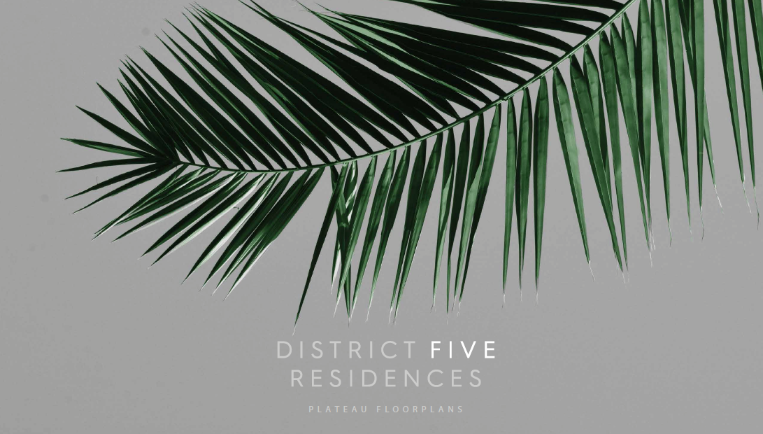 apartment at DISTRICT 5