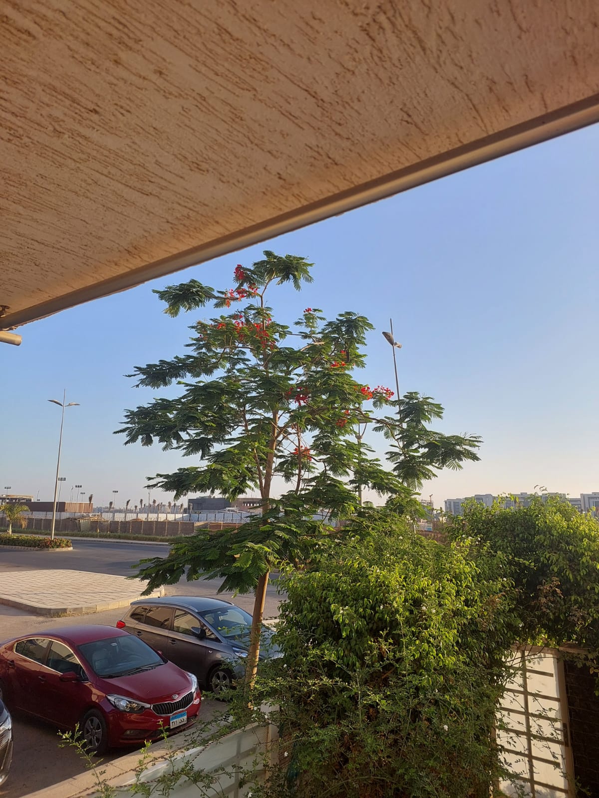 apartment at Madinaty