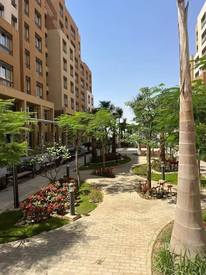 apartment at Al Maqsad