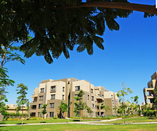 apartment at Palm Parks