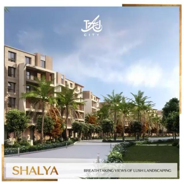 apartment at Taj City