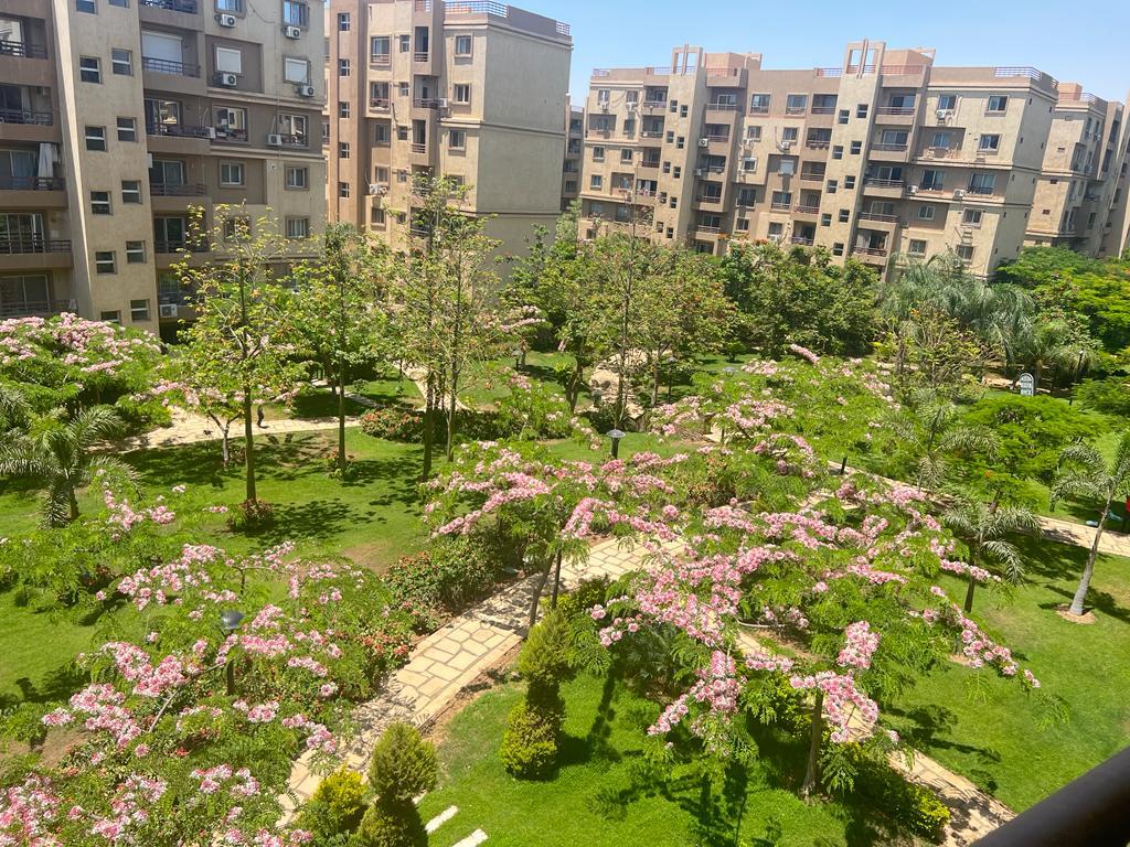 apartment at Madinaty