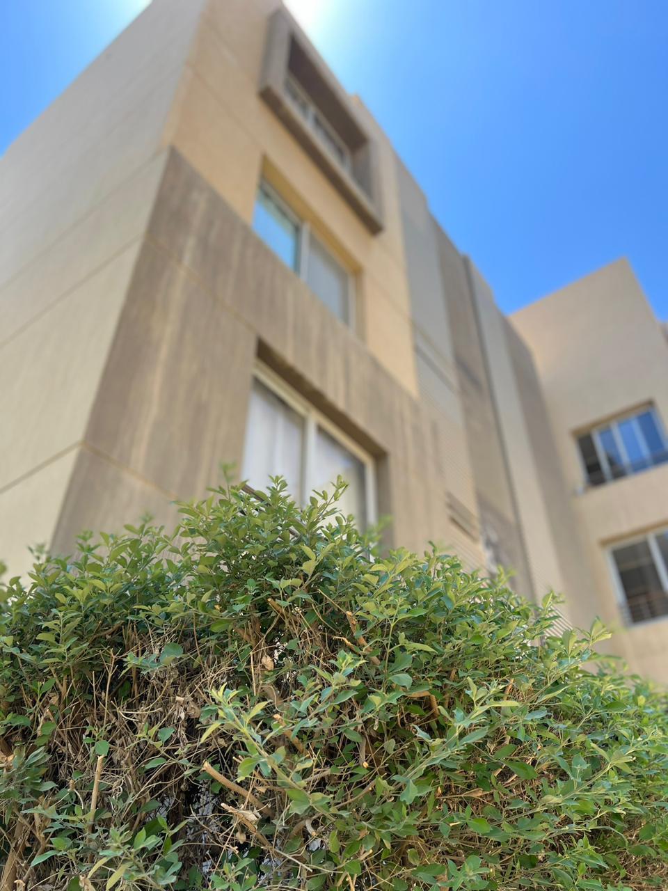 apartment at Palm Parks
