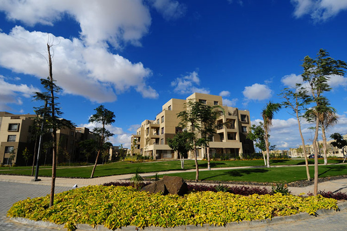 apartment at Palm Parks
