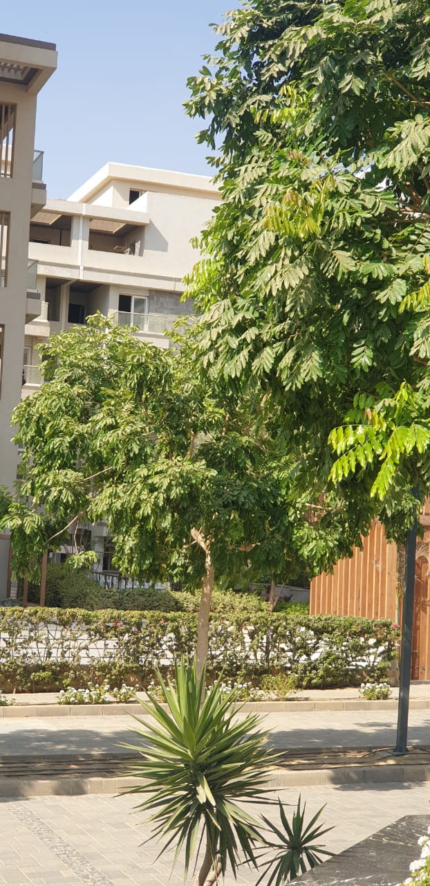 apartment at Mountain View ICity New Cairo