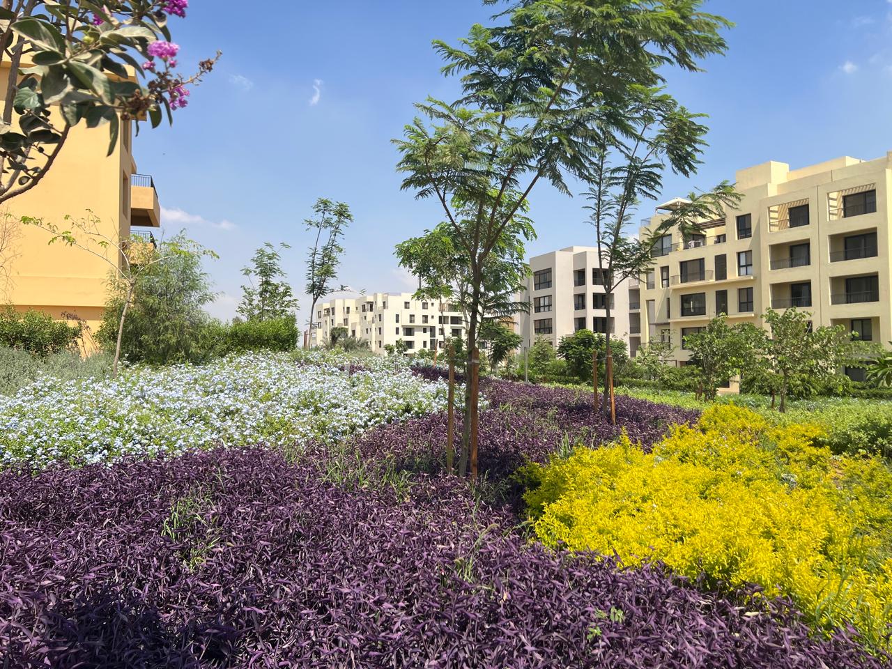 apartment at O West Orascom
