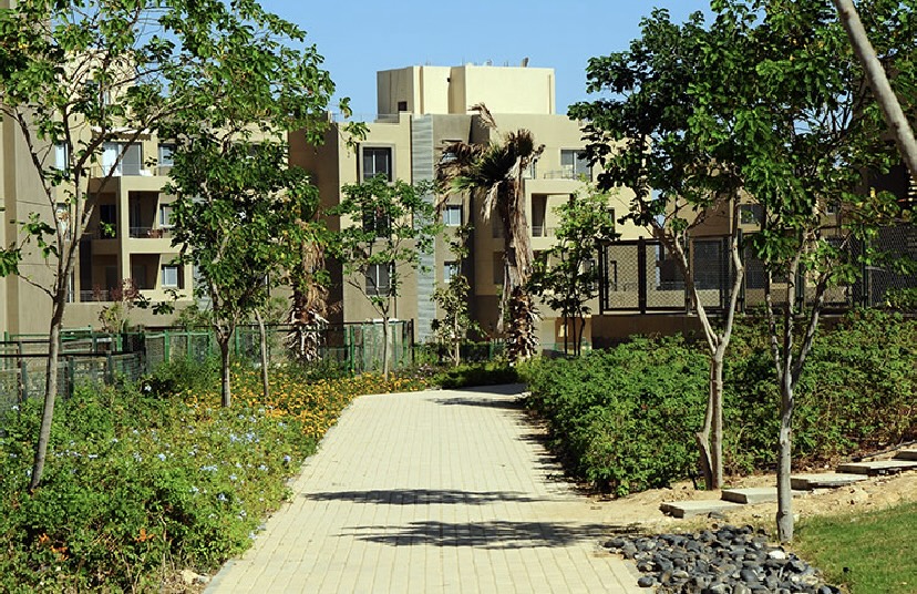 apartment at Palm Parks