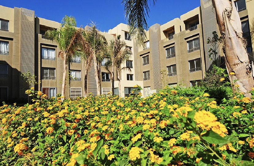 apartment at Palm Parks