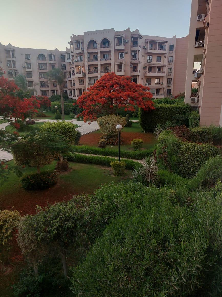 apartment at El Rehab
