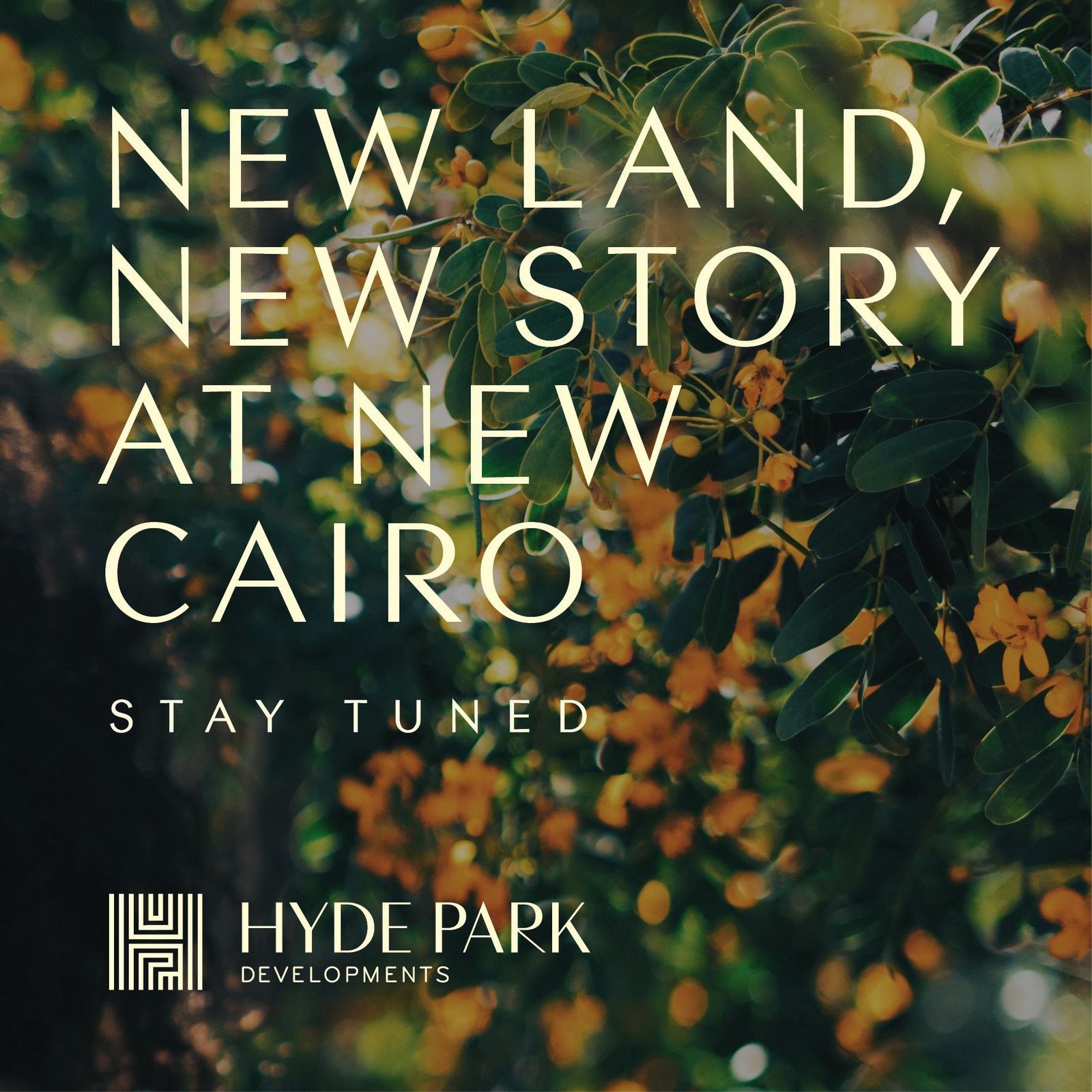 townhouse at Hyde Park Central