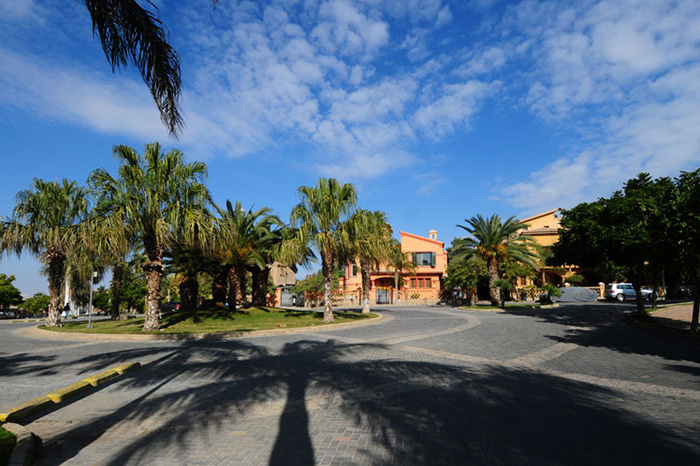 studio at Palm Hills October
